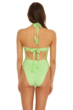 Maillot Halter Plunge One Piece Swimsuit 6 Maillot Halter Plunge One Piece Swimsuit -Shoreline Trendy 4091034 One Piece Swimsuit Pistachio Back1