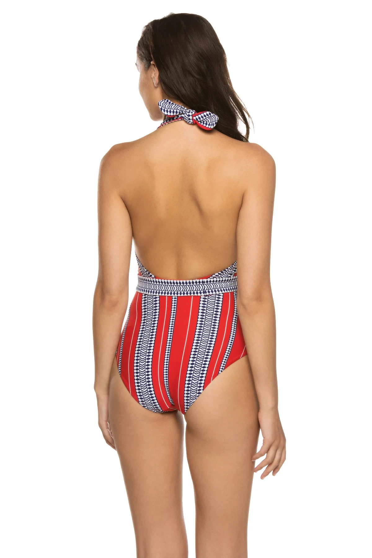 Luchia Plunge Halter One Piece Swimsuit 4 Luchia Plunge Halter One Piece Swimsuit - Image 2